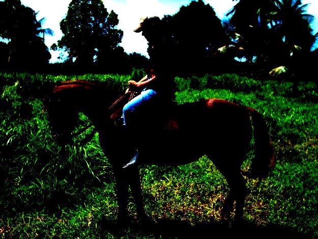 Veterinário e sua égua. A foto está velada, exigência dele.